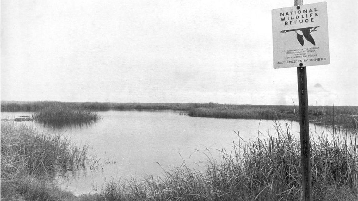 The Kesterson National Wildlife Refuge sits quiet and empty of birds on Dec. 14, 1983.