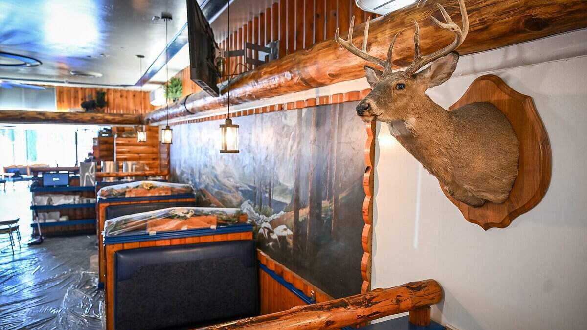 The familiar wild animal taxidermy will still be part of the remodeled dining room at Yosemite Falls Cafe on Blackstone near Shaw in Fresno for its expected reopening in July after a fire forced its closure nearly 10 months ago.