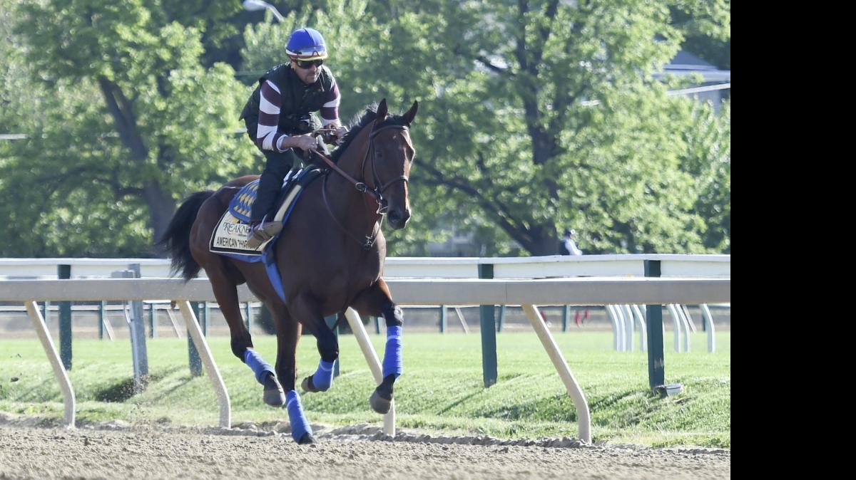 
Exercise rider Jorge Alvarez has a strong grip on Kentucky Derby winner American Pharoah as he gallops the colt May 14 at Pimlico in Baltimore in preparation for the 140th Preakness Stakes.

