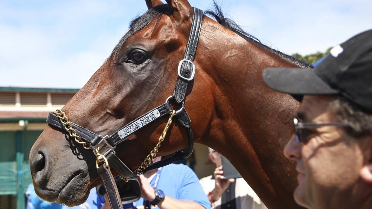 Triple Crown champion American Pharaoh, coming off his only defeat of the year in the Travers Stakes, will look to go out as one of the sport’s all-time greats with a win in Saturday’s $5 million Breeders’ Cup Classic.