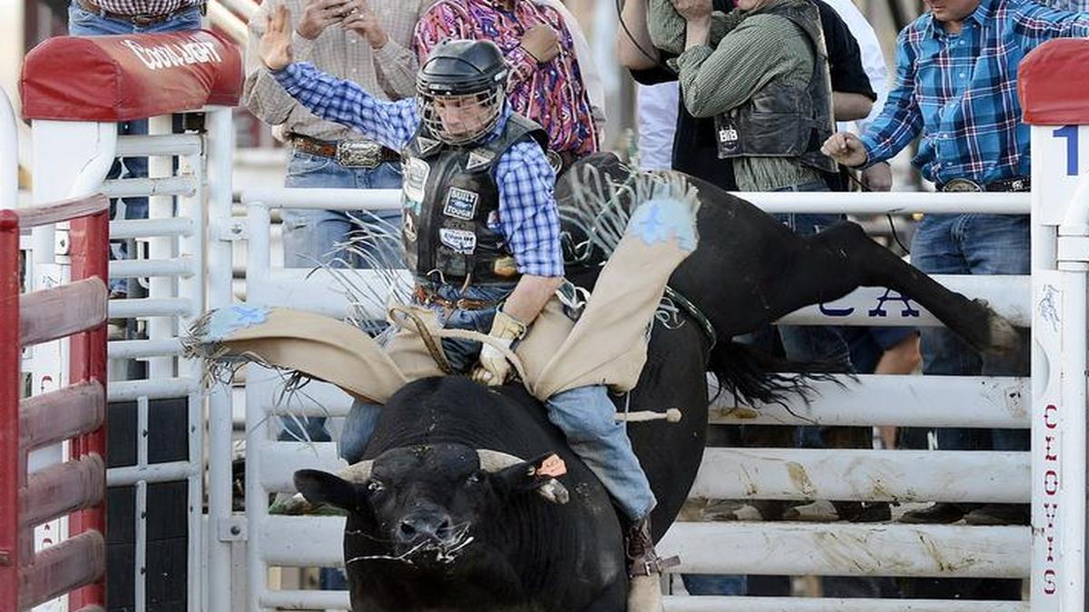 The Professional Bull Riding event is often the most popular showing at the Clovis Rodeo. As seen last season, Scottie Knapp showed how difficult it can be for cowboys to stay on the bulls as they come out of the chute.