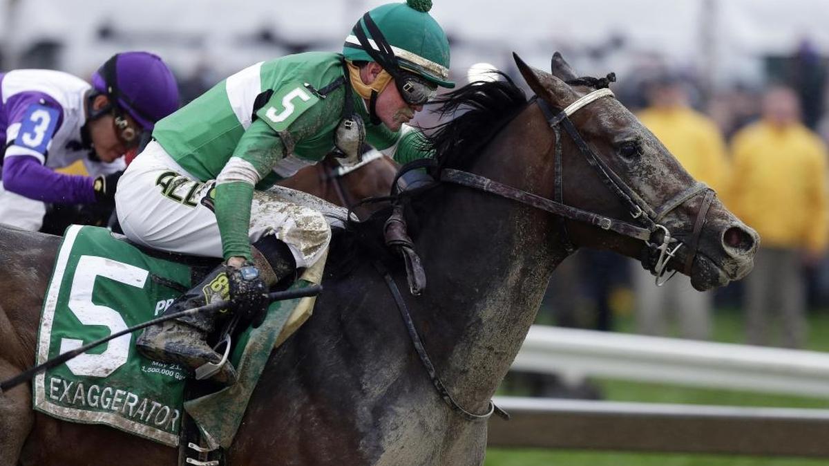 Exaggerator, ridden by jockey Kent Desormeaux, soared to victory in the Preakness three weeks ago and enters Saturday’s Belmont Stakes as the firm favorite at 9-5 on the morning line.