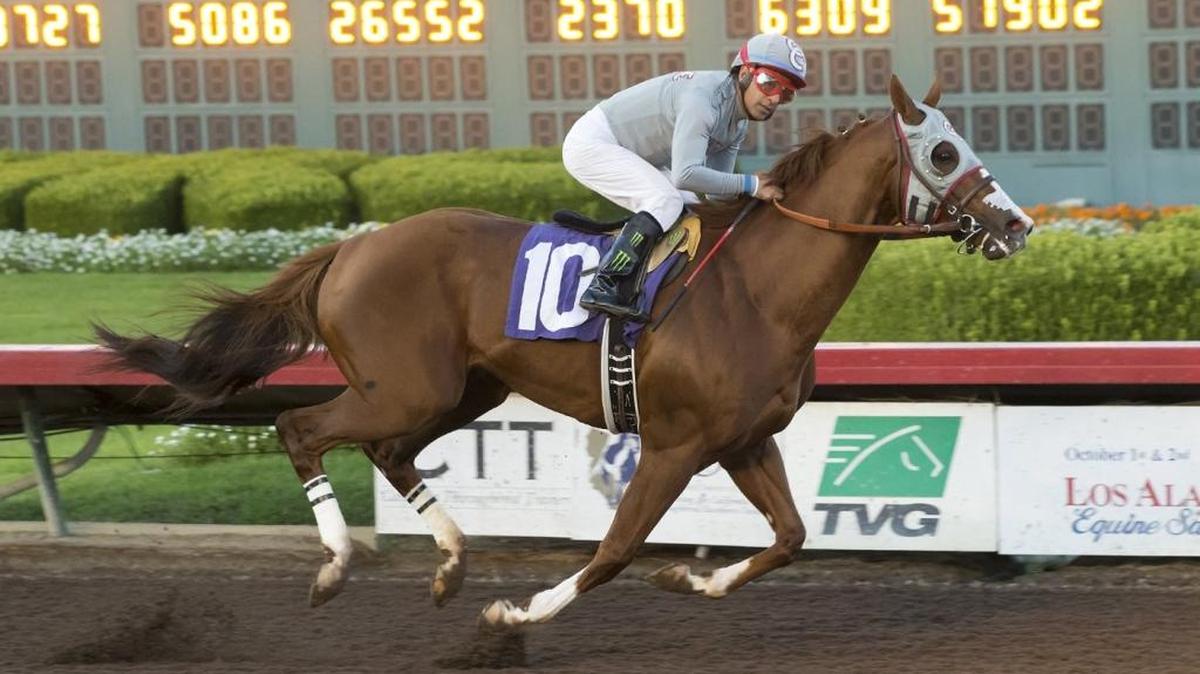California Chrome put on a show Saturday for his home-track fans, romping to victory at the $180,000 Winter Challenge at Los Alamitos Race Course in Cypress. Chrome set the track record for 1 1/16 miles.