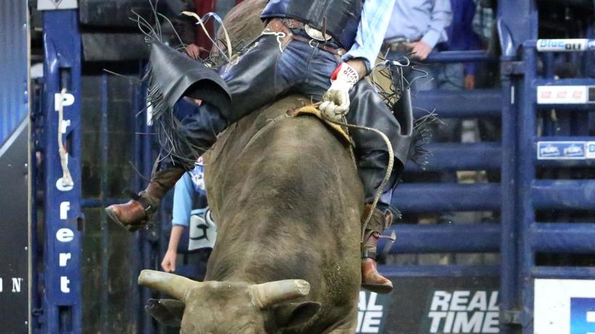 Cody Ford will be among the competitors Saturday when the PBR BlueDEF Tour visits Save Mart Center.