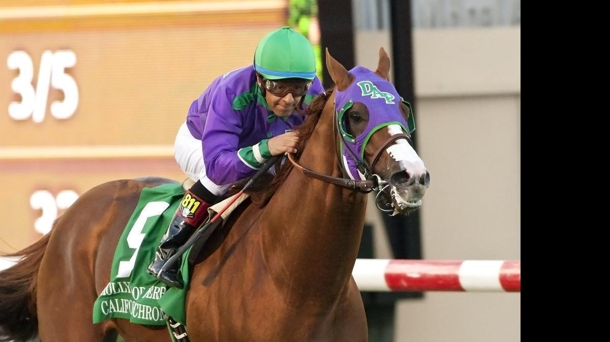
California Chrome, bred at Harris Farms in Coalinga, captured the nation with his bid for the Triple Crown in 2014, but multiple injuries in 2015 have derailed his chance at success as an older horse.
