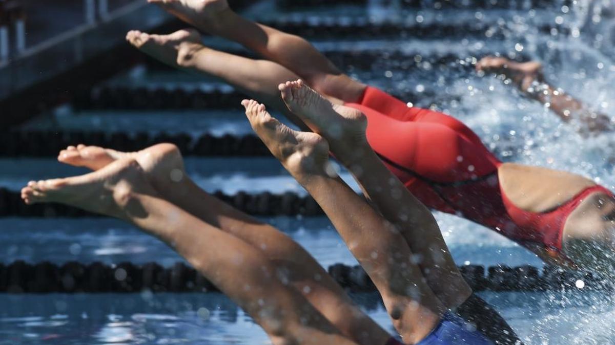 Swimmers dive into the pool on day one of the two-day CIF State Swimming & Diving Championship on Friday, May 19, 2017, at Clovis West. Competition concludes Saturday with the boys diving finals beginning at 8:30 a.m. and swimming finals at 2:30 p.m.