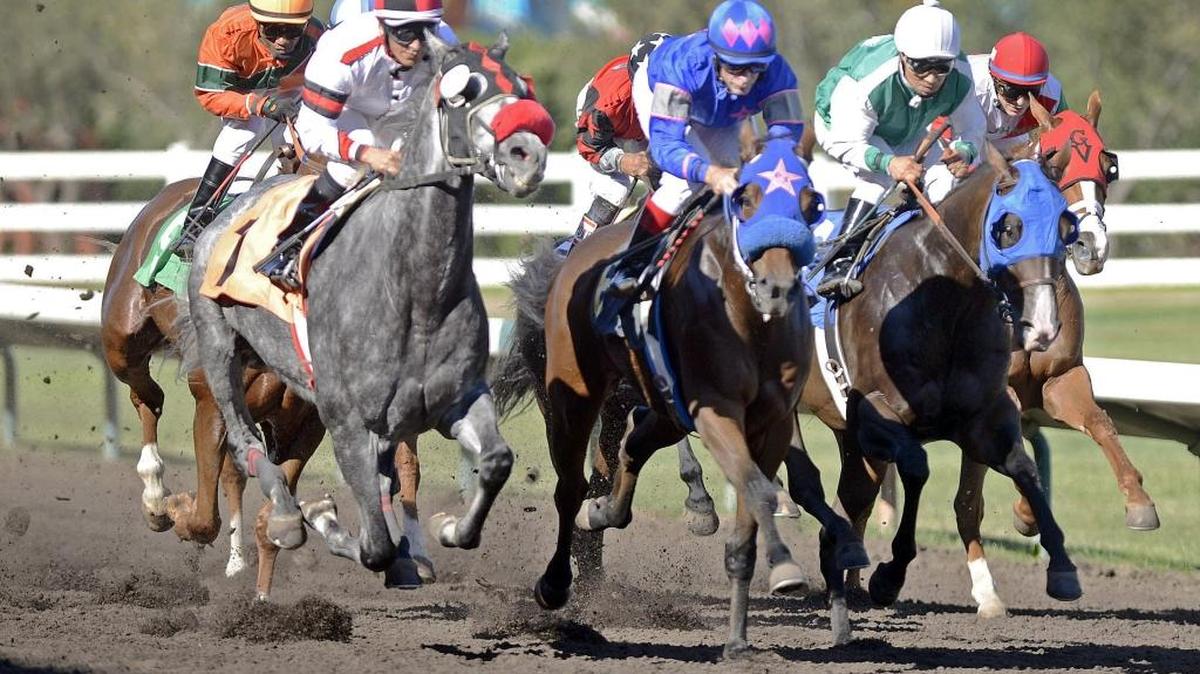
Nine days of horse racing begins Thursday at The Big Fresno Fair.
