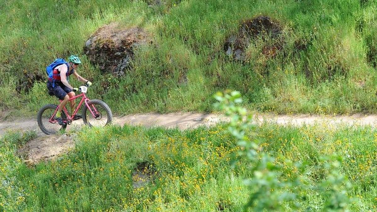 Robert Spies rides in last year’s Big Sandy mountain bike race along the San Joaquin River Trail. The point-to-point race returns for its ninth year on Sunday, April 3, 2016.