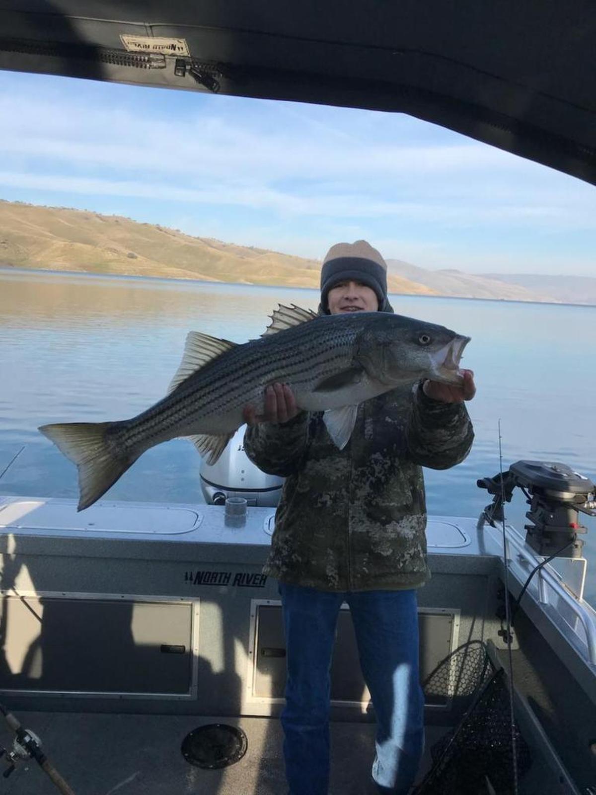 Carson Montalbo, 15, of Hollister shows off a striper he caught on a hot bite at San Luis Reservoir on Jan. 4. The fish was 37 inches long and weighed 20 pounds, a personal-best for Carson. The fish was safely released back into the lake.
