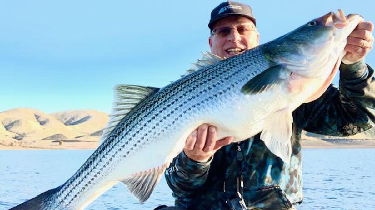 Roger George shows off his personal-best at San Luis Reservoir, a 45 1/4-inch, 35-pound striper caught Monday, Jan. 6, 2020. He was fishing solo and used a mounted camera to get the “selfie.”