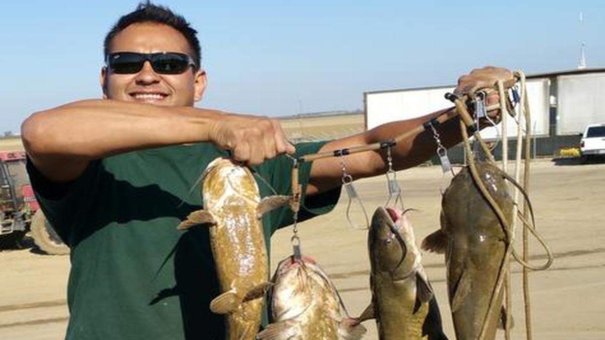 Hank Martinez of Fresno caught these beauties Oct. 1 in Firebaugh, off Nees Avenue and First Lift Canal, right after Sonora Mini Mart, using anchovies and chicken liver.