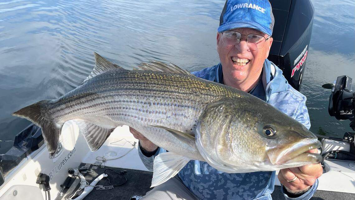 Central California fishing report: Eastman Lake producing huge trout