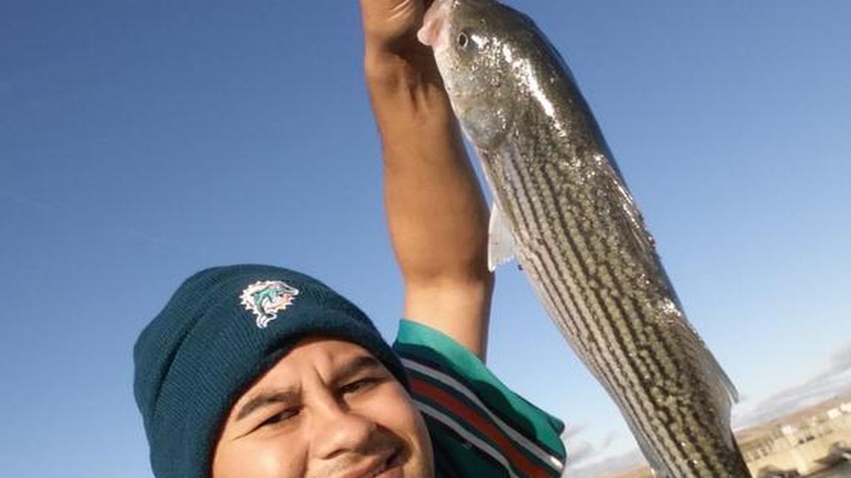 Henry Martinez submitted this photo of a 23-inch striper caught using anchovies on Nov. 1, 2016, off Nees at the California Aqueduct.