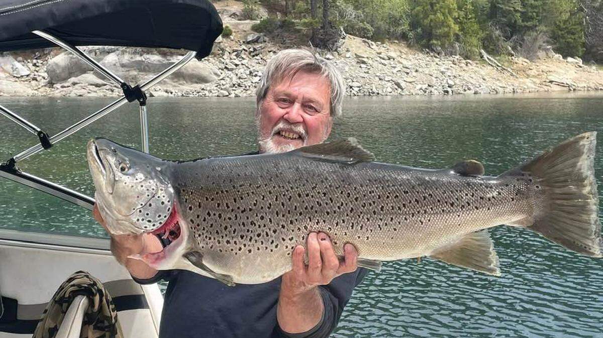 Steve Jones, 72, of Clovis with his recent catch: a massive Shaver Lake brown trout at 37½-inches and 24.48 pounds nabbed on Friday May 16 .