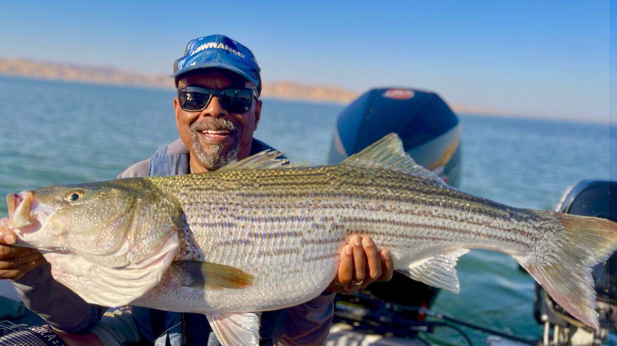 Guy Miller of San Lorenzo proudly displays the 38-inch, 23.1 pound he caught and released using the Seaqualizer release system on Friday, Sept. 26, 2025.