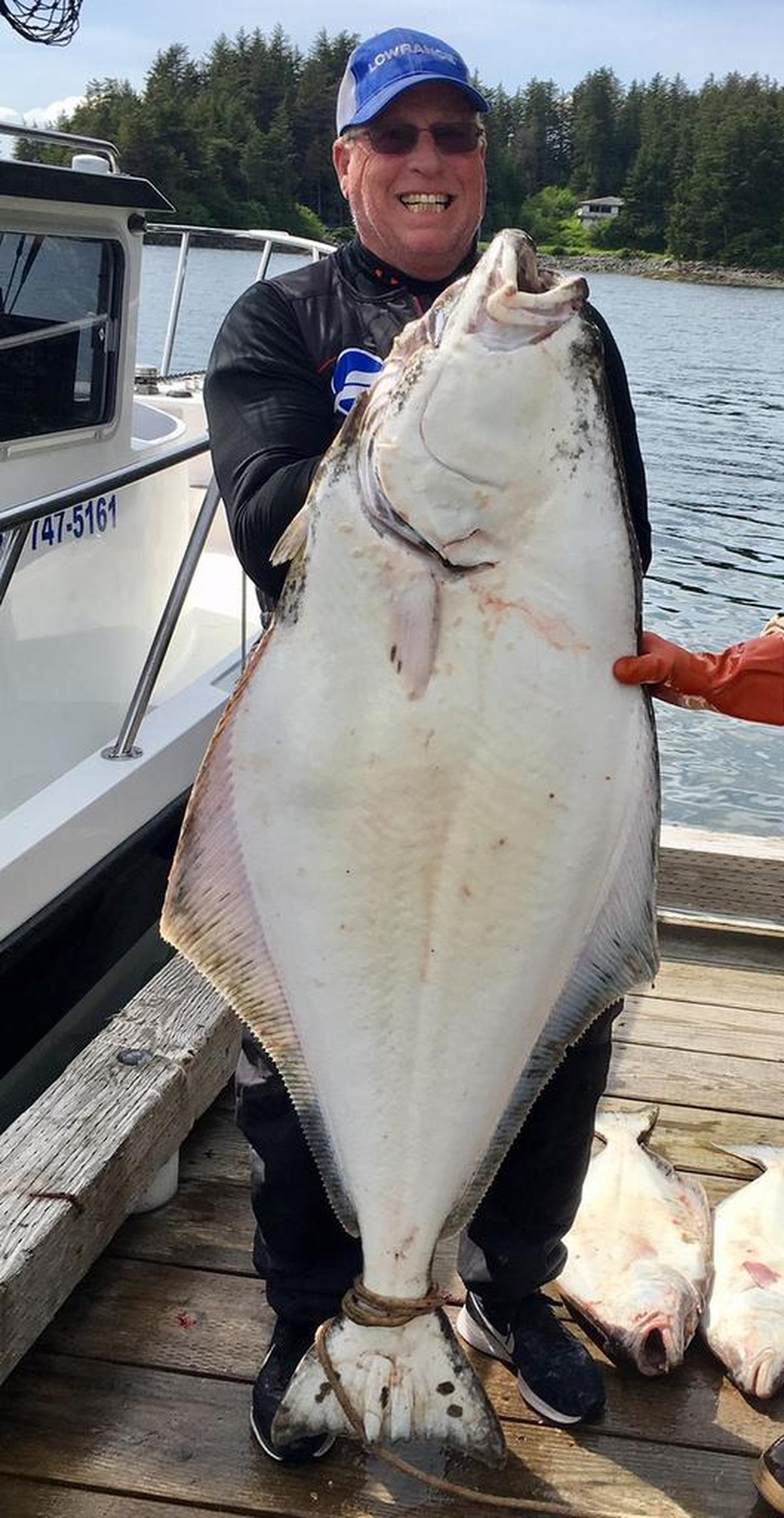 Roger George grimaces to hold up his 62-inch, 130-pound-plus halibut caught on his Alaskan fishing trip.