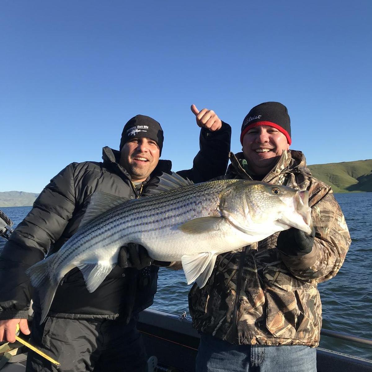 Steve Montalbo shows off his personal-best caught Monday, Feb. 18 at San Luis Reservoir: 38 inches and 24.5 pounds. Montalbo says, “We found a hot bite in the Lone Oak area, trolling Lucky Craft 128s in dark-colored pattens.”