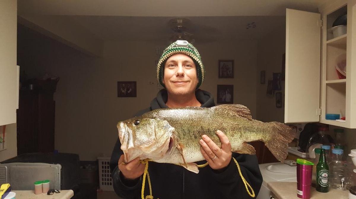 Chris Saylor sent in this photo of a bass caught in the San Joaquin River on May 24, 2016.