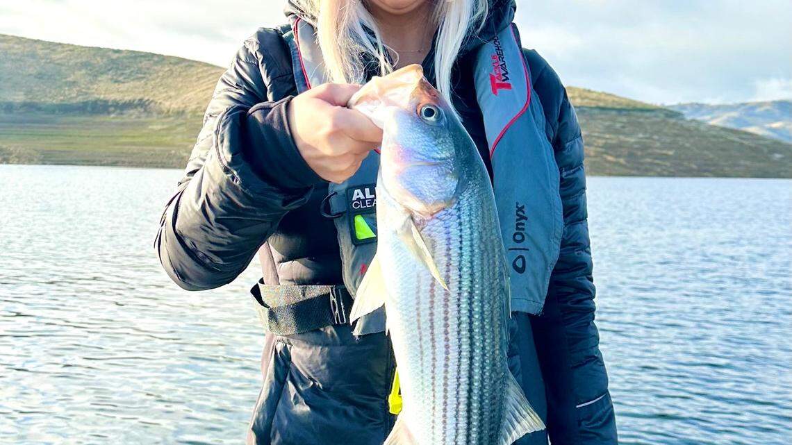 Fishing report, Jan. 17-23, Delta stripers and sturgeon on the bite, so are Don Pedro bass and trout and  McClure catfish