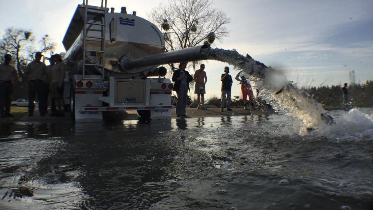 California Department of Fish and Wildlife trout hatcheries plan to provide plenty of opportunities for anglers of all ages over the next two weeks through plants of catchable trout scheduled at 79 waters in 25 counties through Jan. 5. The fish planting schedule, searchable by date, water name and county, is available at nrm.dfg.ca.gov/FishPlants/.
