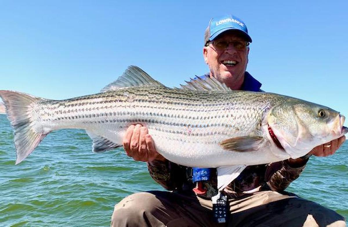 San Luis Reservoir guide Roger George doesn’t usually reel in fish when he’s out with a guest, but this time guest John Turner encouraged it and George landed a 34-pound striper. “It was a tough but epic trip,” George said. “Two big fish in one trip, especially during a full moon which usually kills the bite, is quite a trip.”