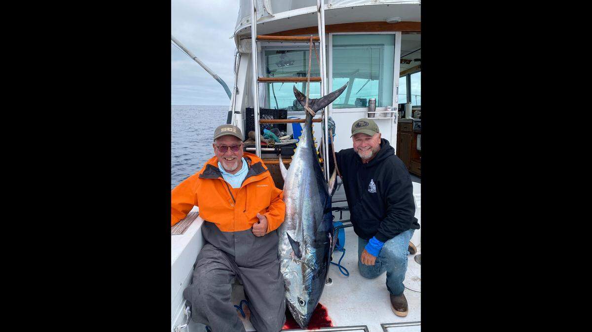 Captain Tom Mattusch and Henry Sutter landed an estimated 180-pound bluefin tuna on the Que Sers Sera at Pioneer Canyon on Monday, Sept. 9, 2024.