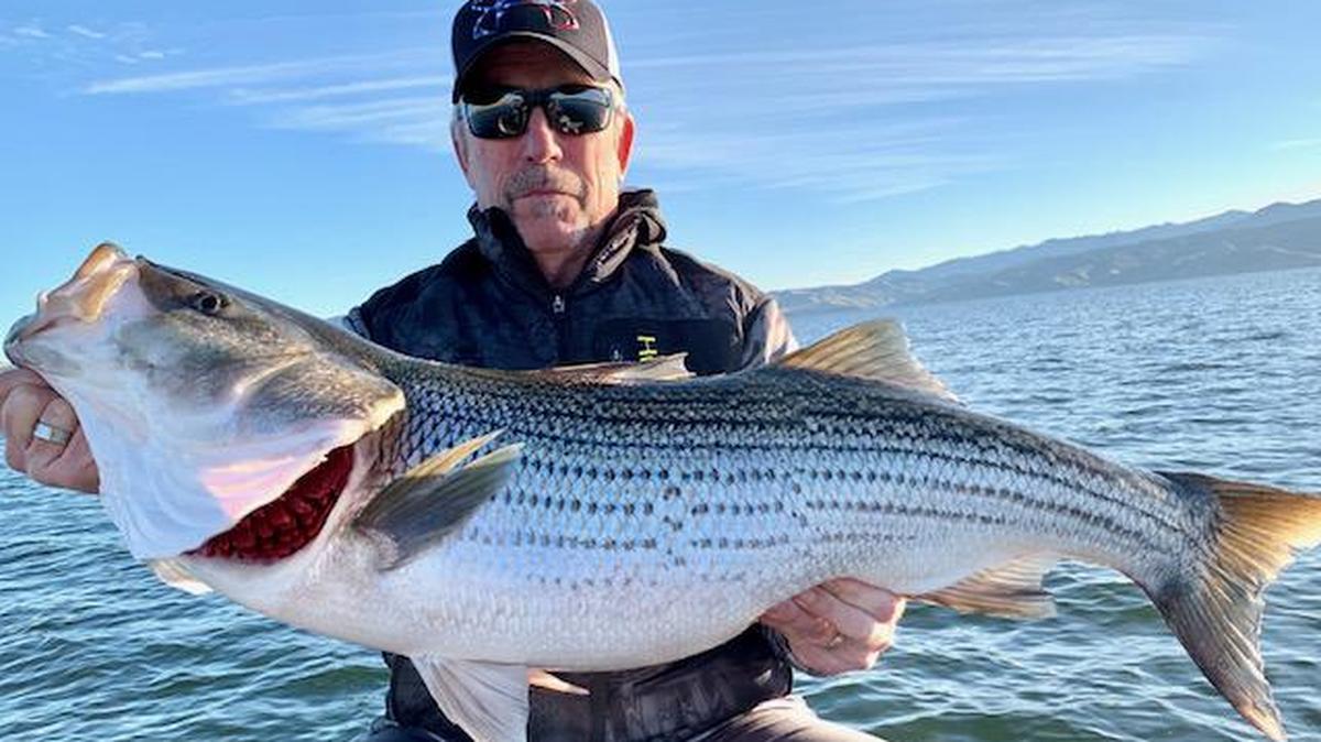 David Drinnon of Fresno holds his personal-best 40.5-inch, 24.88-pound striper on Friday, Dec. 26 at San Luis Reservoir. It broke his old record by 10 pounds. Drinnon was on a trip with guide Roger George, who quickly released the fish using the Seaqualizer release tool.