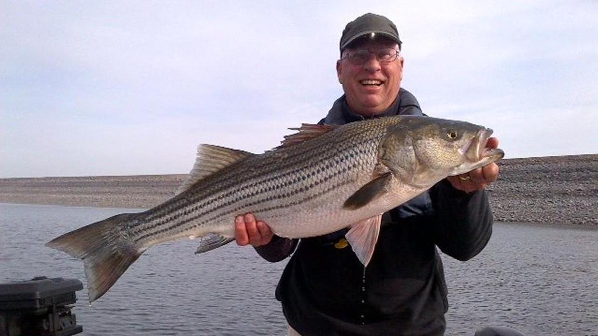 Roger George, The Bee's fishing columnist, holds up a 20-pound striper he caught in February 2013 at San Luis Reservoir. In this week’s Roger’s Remarks, George tells how thankful he is for spouses who put up with fanatical anglers.