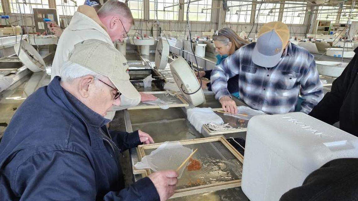 Fish teach us how to be stewards of the land, this educator says. Here’s why