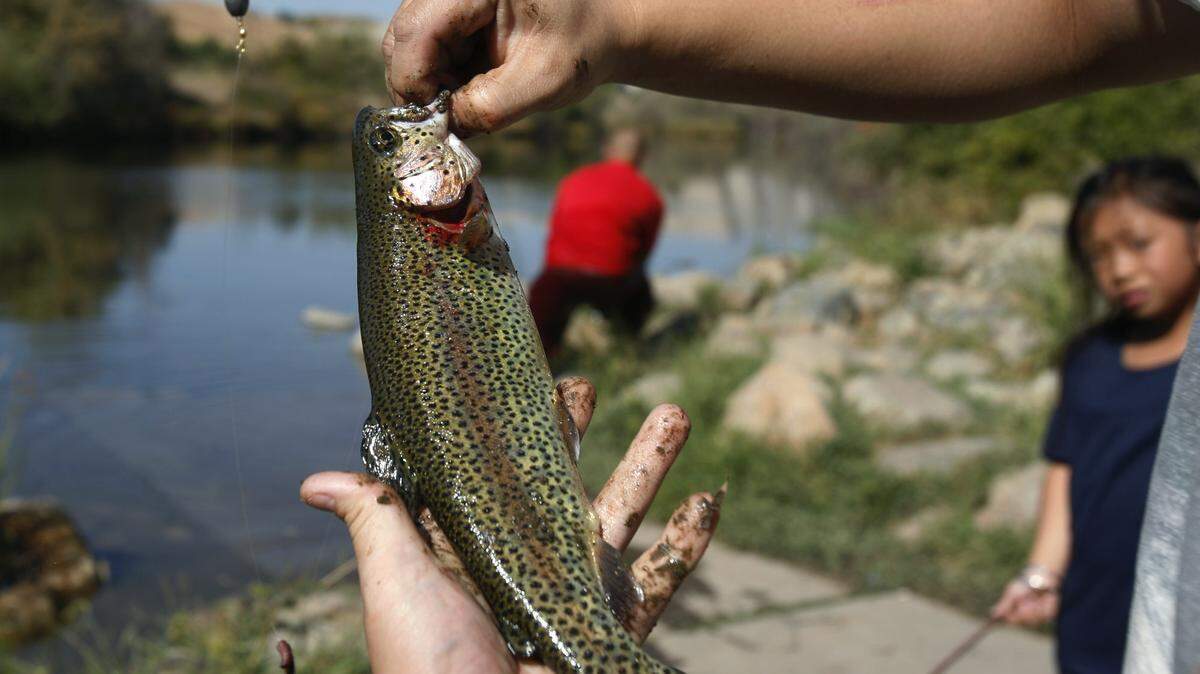In this file photo, an angler displays a recently caught rainbow trout. FishBooker, a fishing guide platform, highlighted lakes across the country known for their Trout fisheries