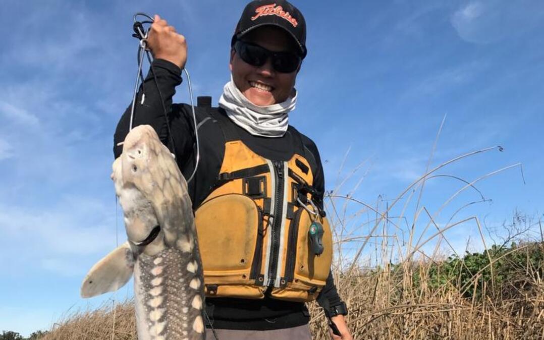 Jon Le caught this 49-inch sturgeon in early February while fishing at Montezuma Slough out of his kayak.
