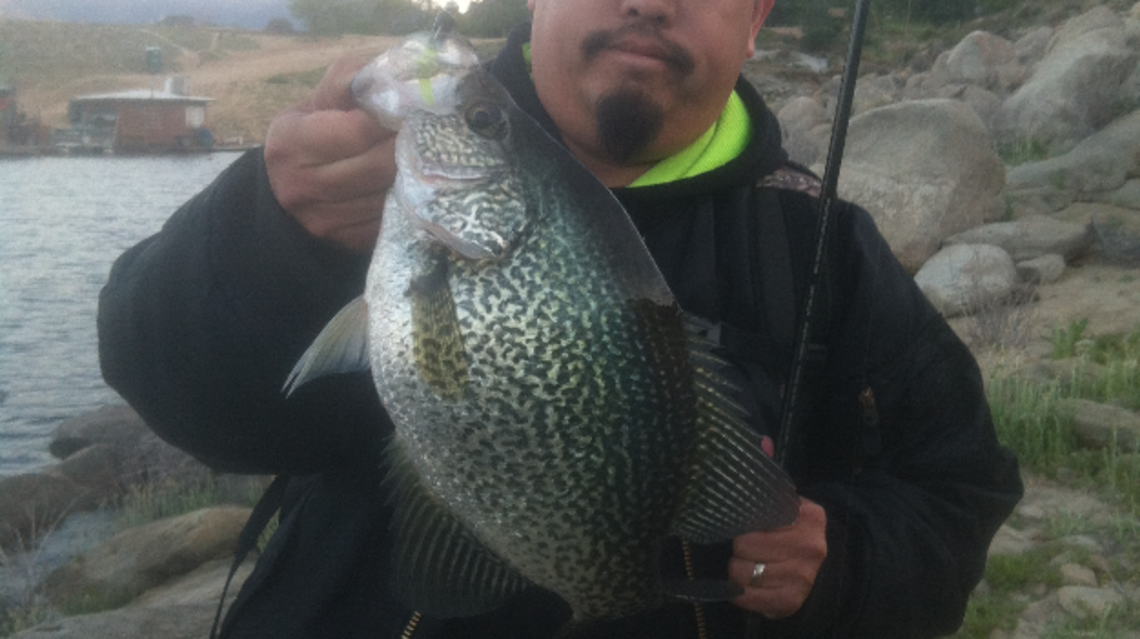Fishing report, Nov. 15-21: Good crappie action at Lake McClure and the bass and catfish are biting at Lake Isabella and of course the Delta stripers.