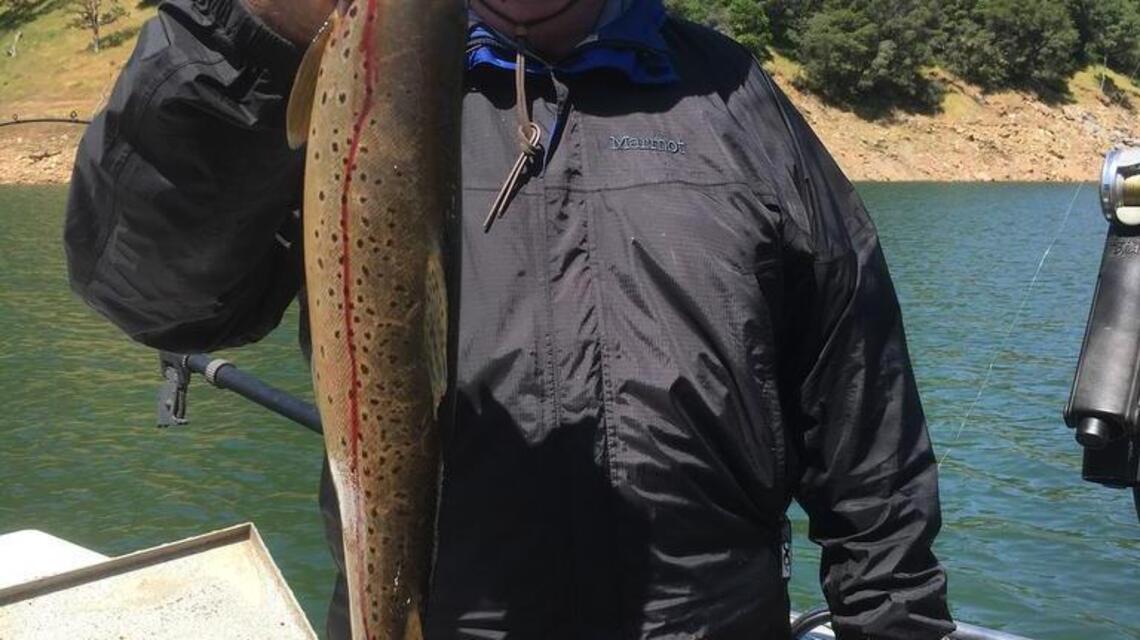 Fishing report for week of May 15-21: Delta shad and bass fishing takes center stage
