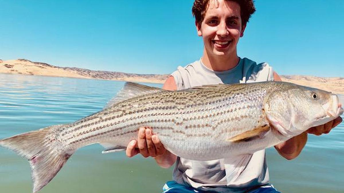 Sixteen-year-old Tyler Zuber of Fresno shows off his 38-inch, 22-pound striper (a personal best), caught Sept. 5 at San Luis Reservoir on a trip with guide Roger George.
