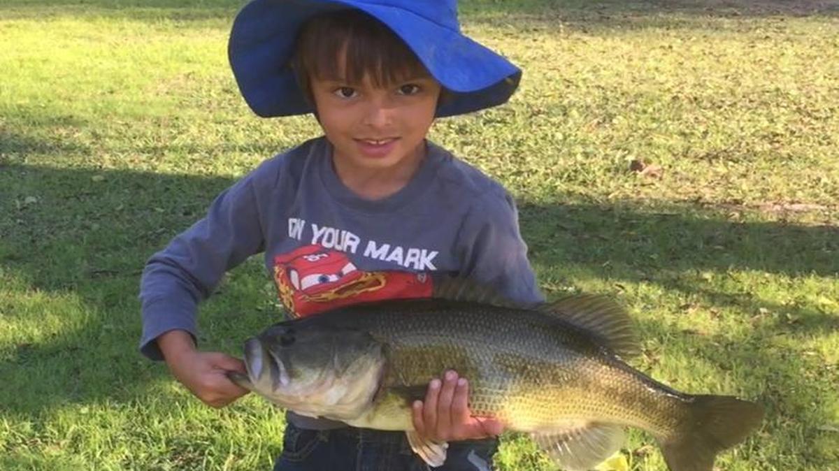 Gavin Avila, 5, of Fresno caught this 23-inch, 7-pound bass Saturday at his secret fishing pond off the San Joaquin River in North Fresno using a peanut butter jelly colored Senko weightless wacky style.