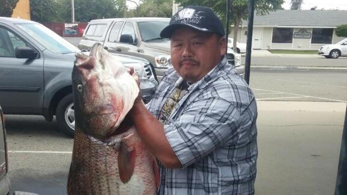 
Alvin Vang shows off his 66.9-pound striped bass landed from from the Romero Visitor Center at San Luis Reservoir.
