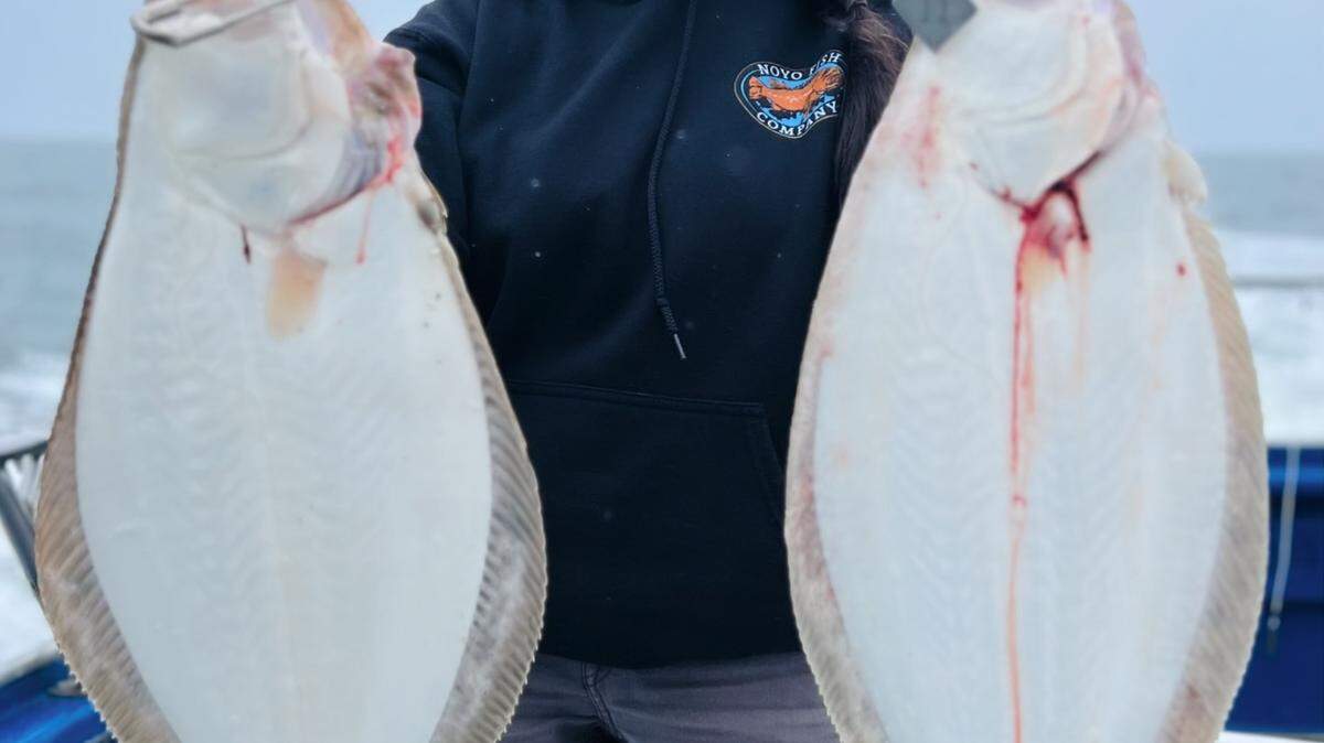 Melynda Dodds, captain of the New Captain Pete, met her two-fish limit of quality halibut while trolling for anchovies. near Oyster Point Harbor in the South Bay,