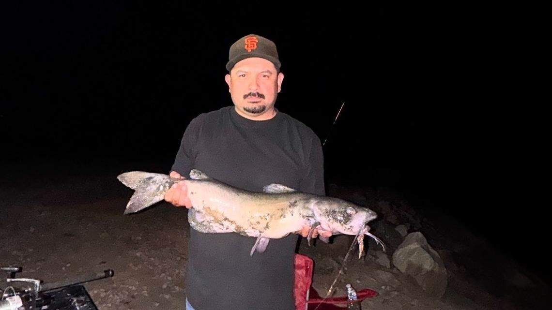 Central California fishing report: Pine Flat trout action good