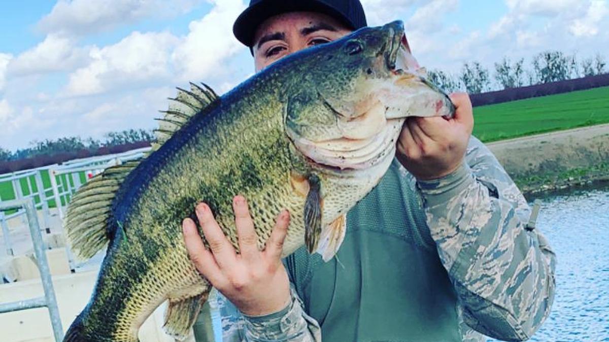 Yael Zaragoza shows his 20-pound, 28-inch catch taken in Firebaugh at the Helm Canal at Sierra Street.