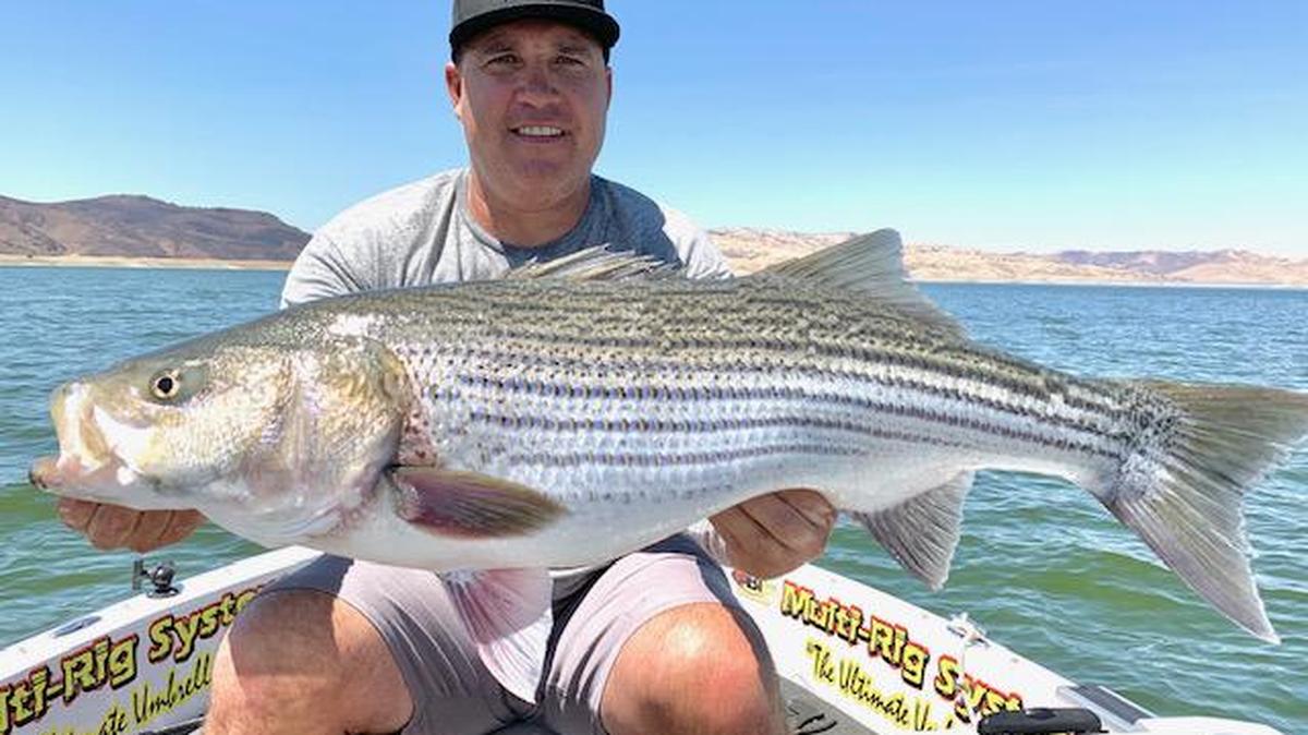 John Turner of Fresno shows off a 24-pound striper caught Aug. 2 on a trip with guide Roger George at San Luis Reservoir.