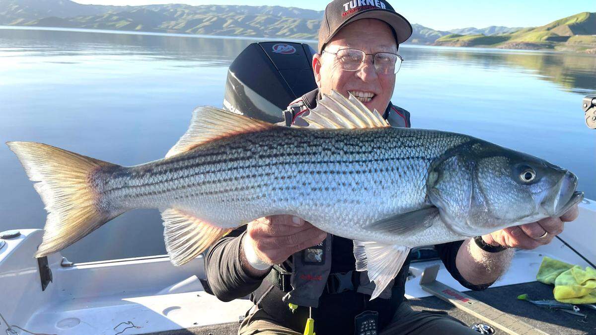 Roger George with a 31 1/2 inch striper he caught and released on a trip with a using the Seaqualizer tool on a scouting trip with a friend to the San Luis Reservoir on Feb. 28, 2024.