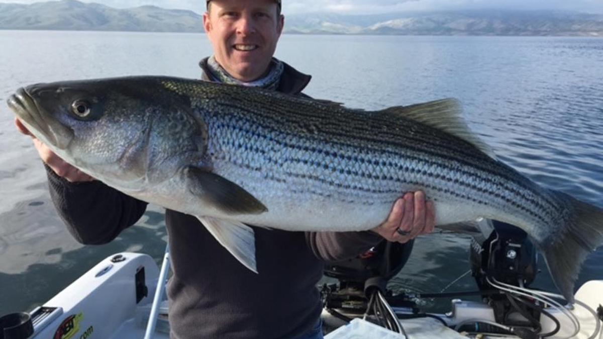 Byron Stickler landed a personal record 42-inch, 27.5-pound striper at San Luis. It was released using the Seaqualizer tool. See the video at www.facebook.com/Rogergeorgeguideservice.