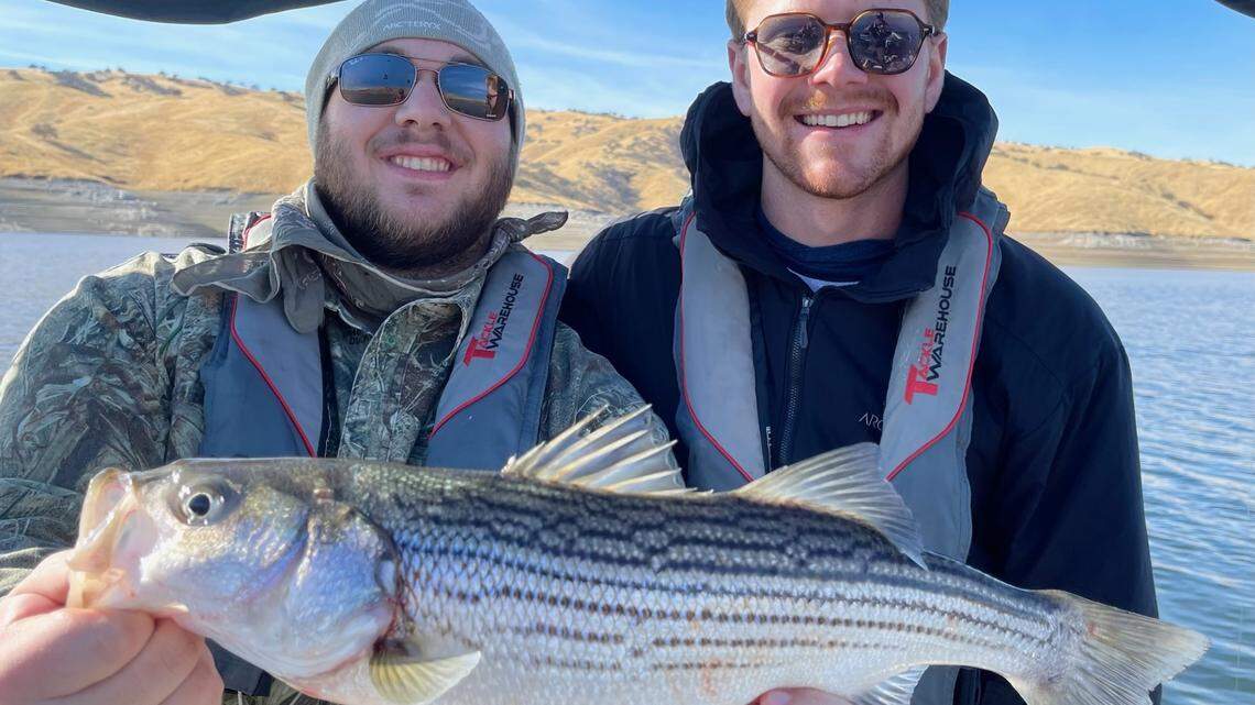 Fishing report, Dec. 13- 19: Don Pedro trout fishing is excellent. Pine Flat trout are hitting. Millerton bass have improved.