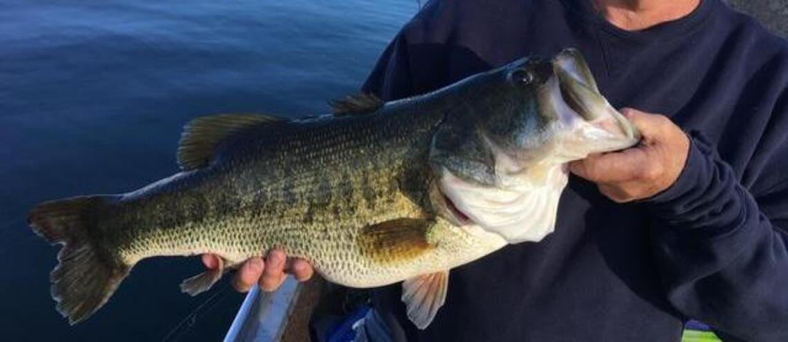 Fishing report for week of Oct. 9-15: Trout ‘on a crazy bite’ at High Sierra lakes