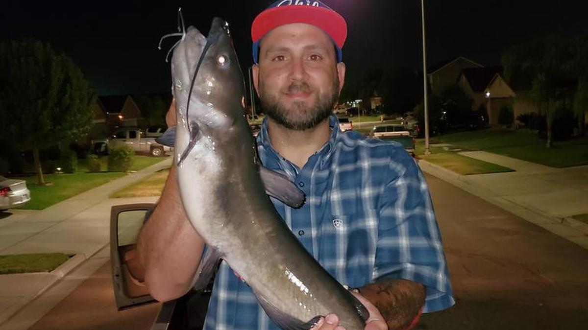 Donny Caggianelli shows a 26.5-inch catfish he caught on July 17 in the evening at Pine Flat. He says he was using a Lucky Craft Point 78 while fishing for bass and adds, “First freshwater fish I ever had pull drag.”