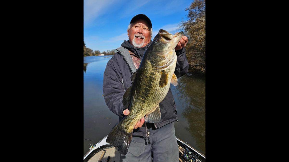 Alan Fong of Alan Fong Outdoors with an 11.75-pound largemouth bass on a spinnerbait in the north Delta.