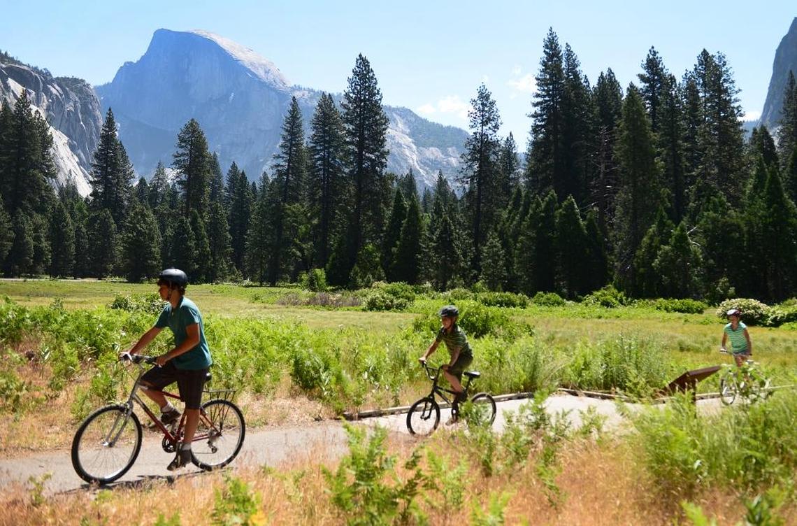 Bicyclists ride along on the Yosemite Valley floor with Half Dome in the distance in June 2014.