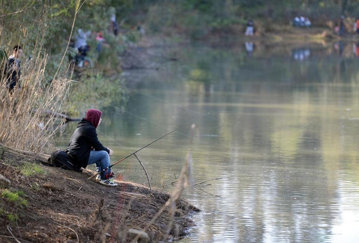 Kou Vang of Fresno fishes on the bank of one of the ponds at Sycamore Island Ranch on the San Joaquin River north of Fresno during the 2014 San Joaquin River Fish Derby.