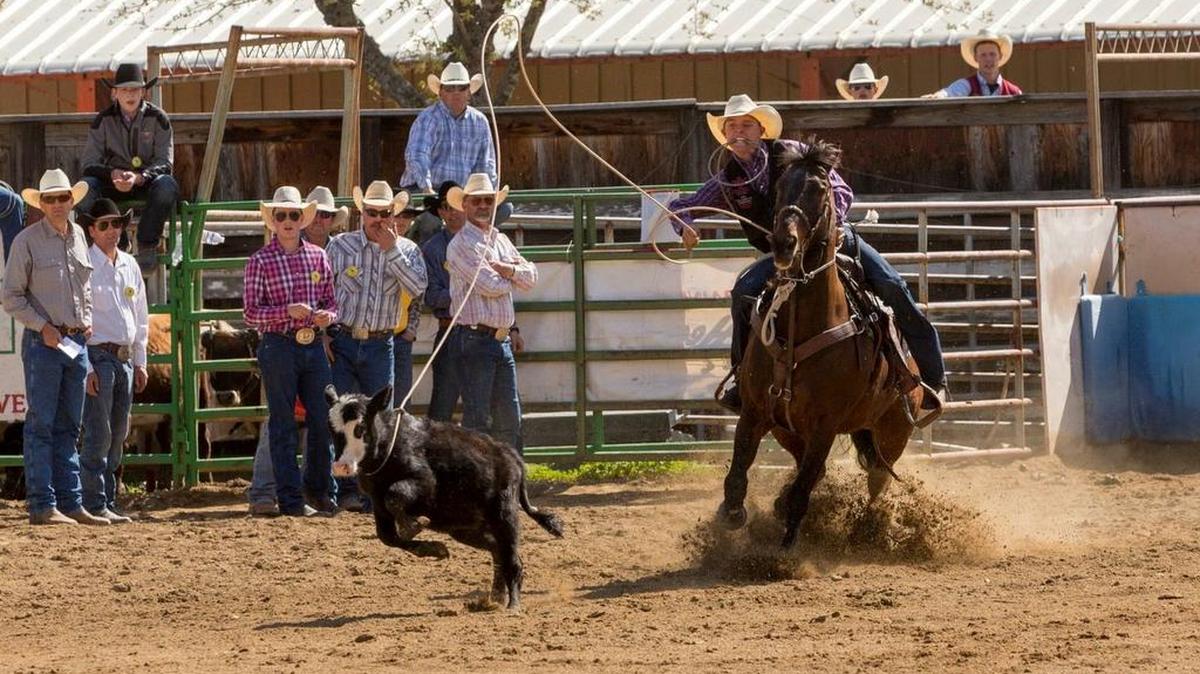 Cole Dodds qualified for the National High School Finals Rodeo in tie-down roping. Dodds went to Reedley High for one year but was home schooled with his twin brother Cobie this past school year. The Dodds twins spend much of their time on the family’s 53-acre ranch, often practicing various rodeo disciplines.