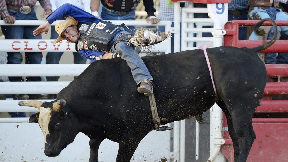 Emilio Resende is ranked sixth in the Real Time Pain relief Velocity Tour points standings entering the PBR’s top Thursday, April 27, 2017, at the Clovis Rodeo.